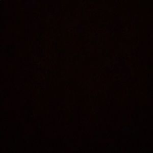 Meet your Posher, Tanya